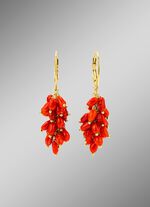 Oorbellen met koralen 