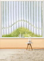 C-boog-vitrage met hoogwaardig Plauener kant 