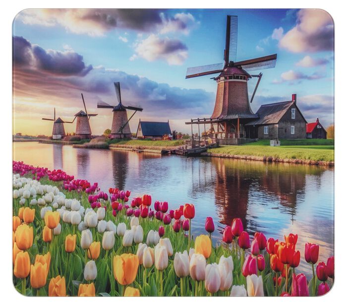 Glazen wandpaneel met molenmotief 