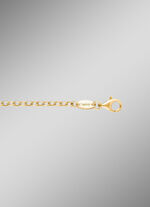 Vergulde ankerketting 