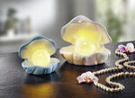 Schaal met LED-verlichting 