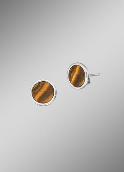 Krachtige Stone oorknopjes met tijgeroog 