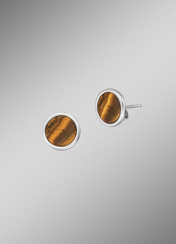 Krachtige Stone oorknopjes met tijgeroog 