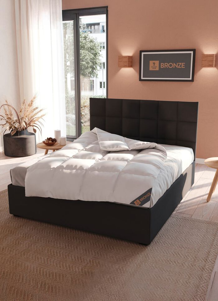 Fantastisch donsassortiment van Spessarttraum, met de grootste zorg vervaardigd in Duitsland 