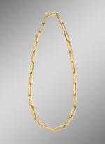 Interessante schakelketting van goud 