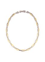 Tweekleurige titanium ketting 