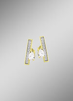 Interessante oorbellen met zirkonia 