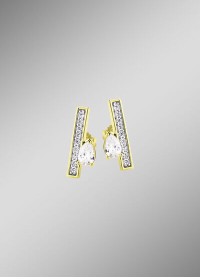 Interessante oorbellen met zirkonia 