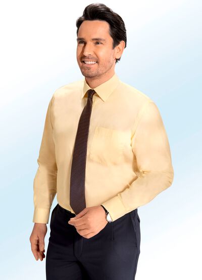 Gemakkelijk strijkbaar overhemd in 6 kleuren 