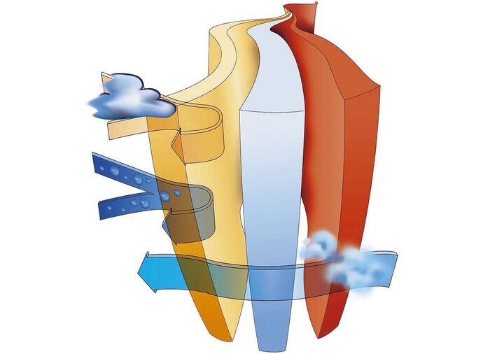 &lsquo;FLORETT&lsquo; herenschoenen met klittenband 