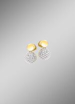 Prachtige oorbellen met 70 diamanten 