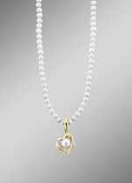 Aanhangwagen m. K. 925/- 