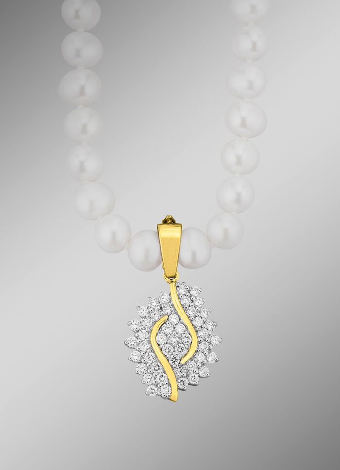 Mooie hanger met clipoogje 