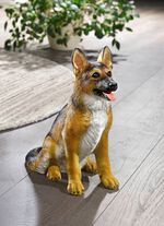 Weer- en vorstbestendige herdershond 