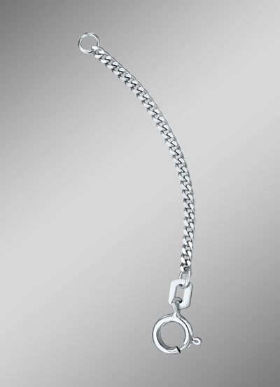 Pantser-verlengketting 