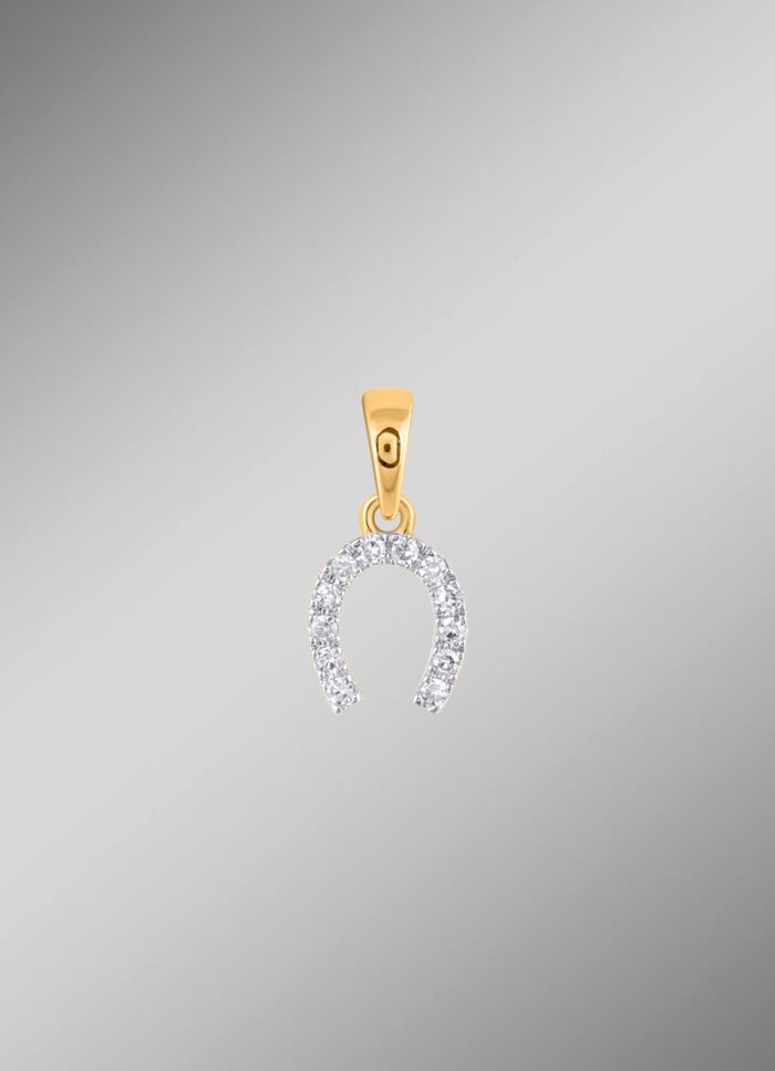 hoefijzerhanger met 10 diamanten 
