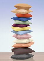 Set van 2 kussenslopen van 100% katoen 