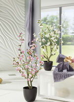 Bedrieglijk echt ogende kersenbloesemboom 