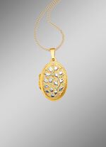 Medaillon om te openen in tweekleurig 