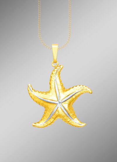 Interessante hangende zeester in tweekleurig 