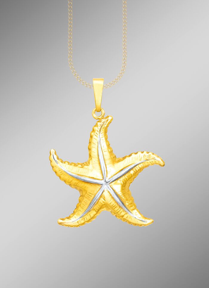 Interessante hangende zeester in tweekleurig 