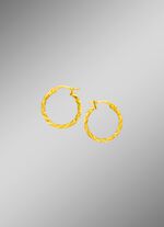 Gedraaide gouden oorbellen 