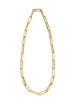 Interessante schakelketting van goud 