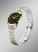 Roterend quartz dameshorloge met roestvrijstalen armbandkast 