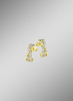 Oorknopjes goud 585/- 