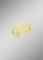 Gematteerde clipoorbellen met zirkonia 