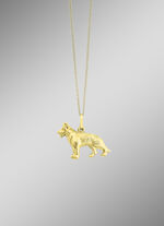 Voor hondenliefhebbers: Interessante gouden hanger 