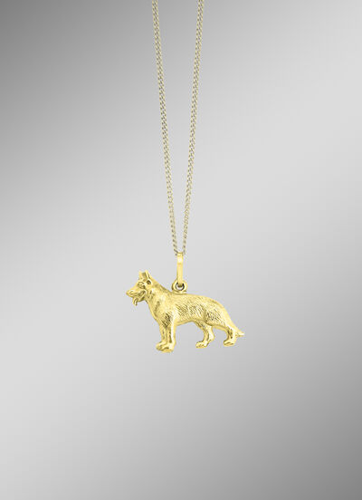 Voor hondenliefhebbers: Interessante gouden hanger 
