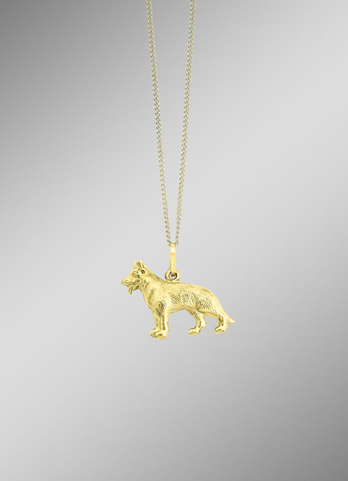 Voor hondenliefhebbers: Interessante gouden hanger 