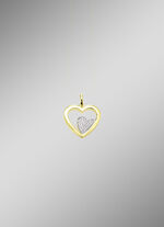 Hartvormige hanger in bicolor met synthetische zirkonia 