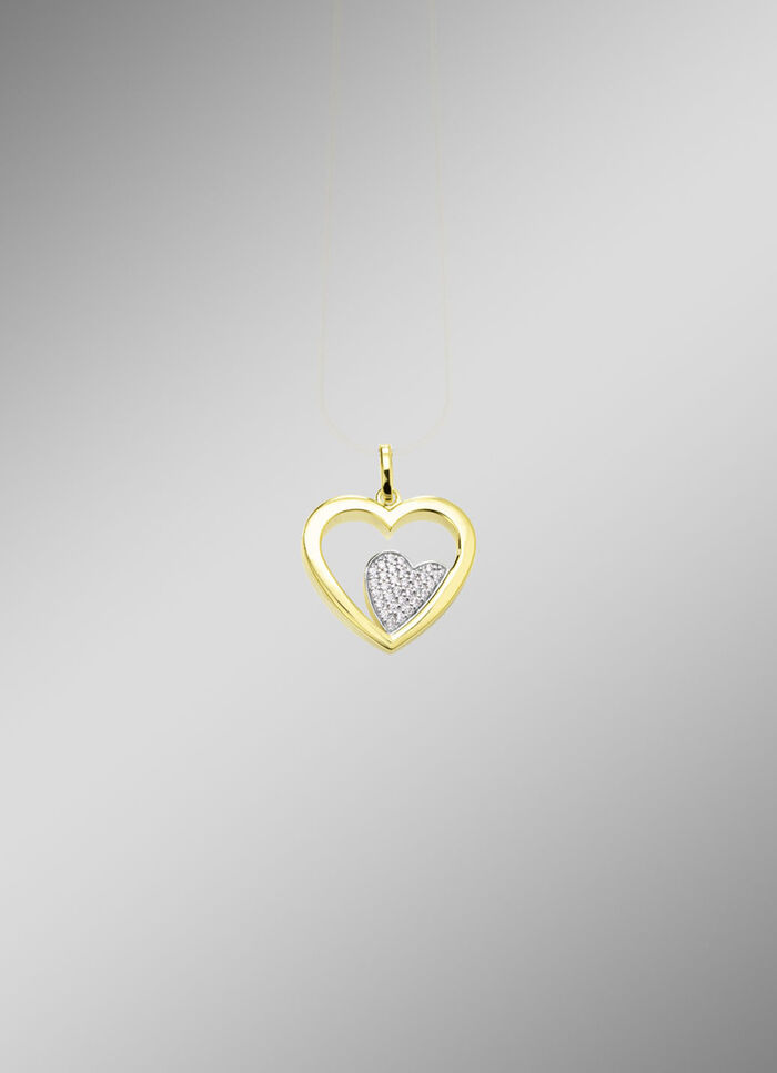 Hartvormige hanger in bicolor met synthetische zirkonia 