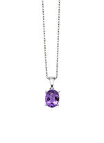 Hanger met Venezia ketting 