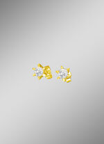 Prachtige solitaire oorknopjes 