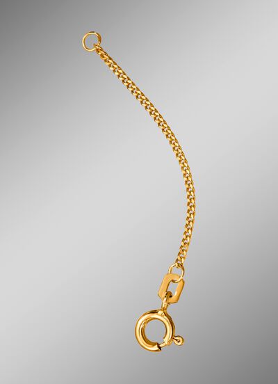 Pantser-verlengketting 