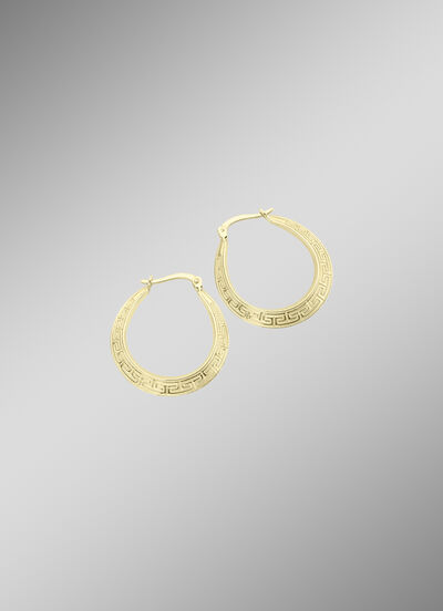 Mooie, glanzende oorringen met een meanderpatroon 