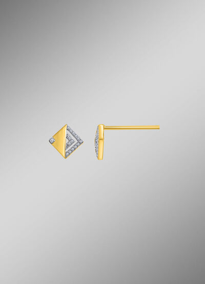 Prachtige oorbellen met diamanten 