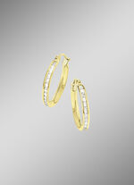Oorringen zilver 925/- 