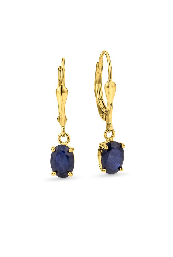 Charmante oorbellen met echte edelstenen 