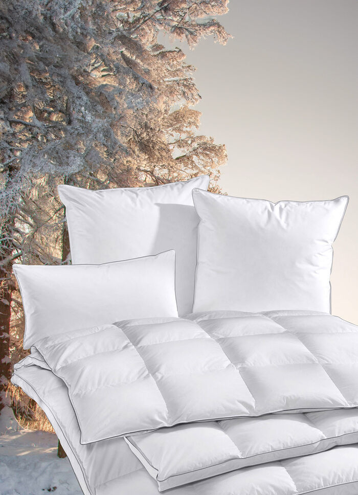 Extra warme Zwarte Woud-kussens van OBB voor het koude seizoen 