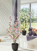 Bedrieglijk echt ogende kersenbloesemboom 