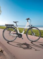 Stads e-bike RC836 van TELEFUNKEN 