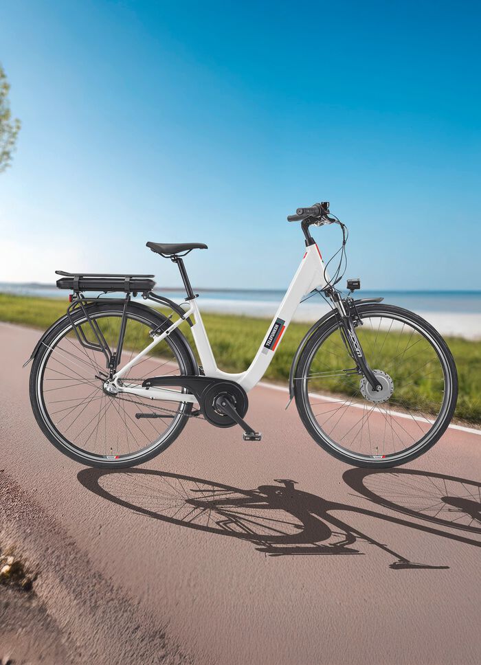 Stads e-bike RC836 van TELEFUNKEN 