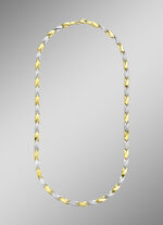 Tweekleurige ketting 