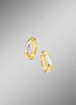 Oorringen zilver 925/- 