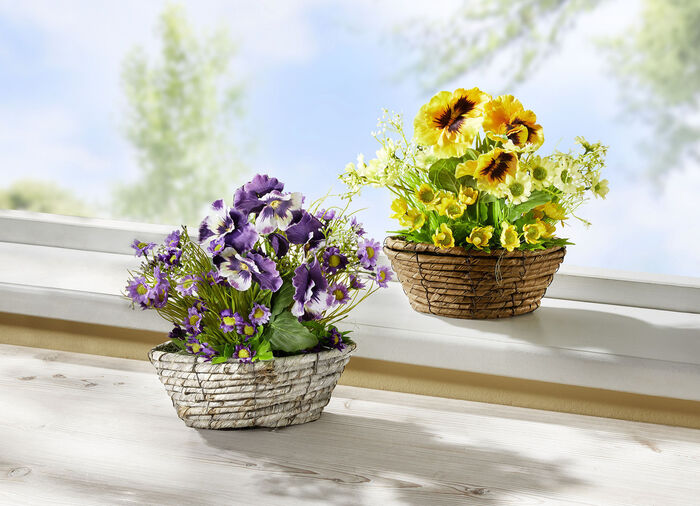 Viooltjes en madeliefjes in een rieten mand GEEL