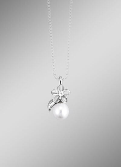 Chique hanger 